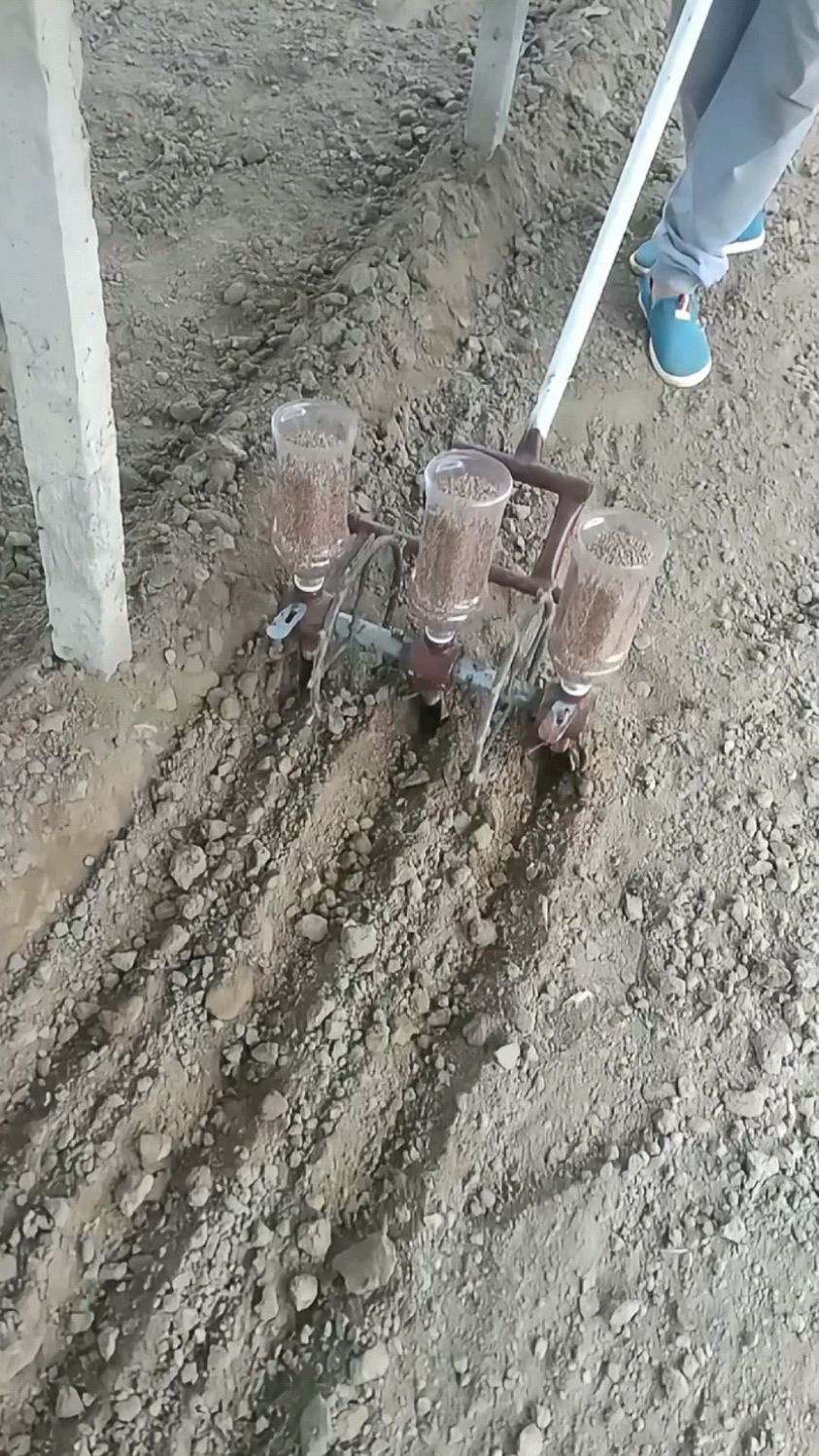 废旧塑料瓶制作一个简易播种器