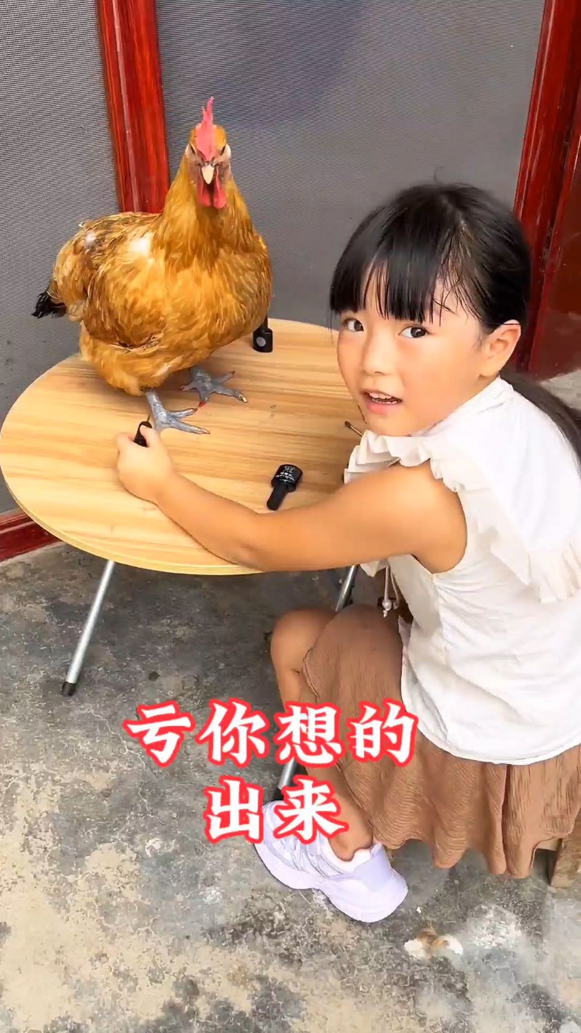 给鸡涂指甲油,亏她想的出来