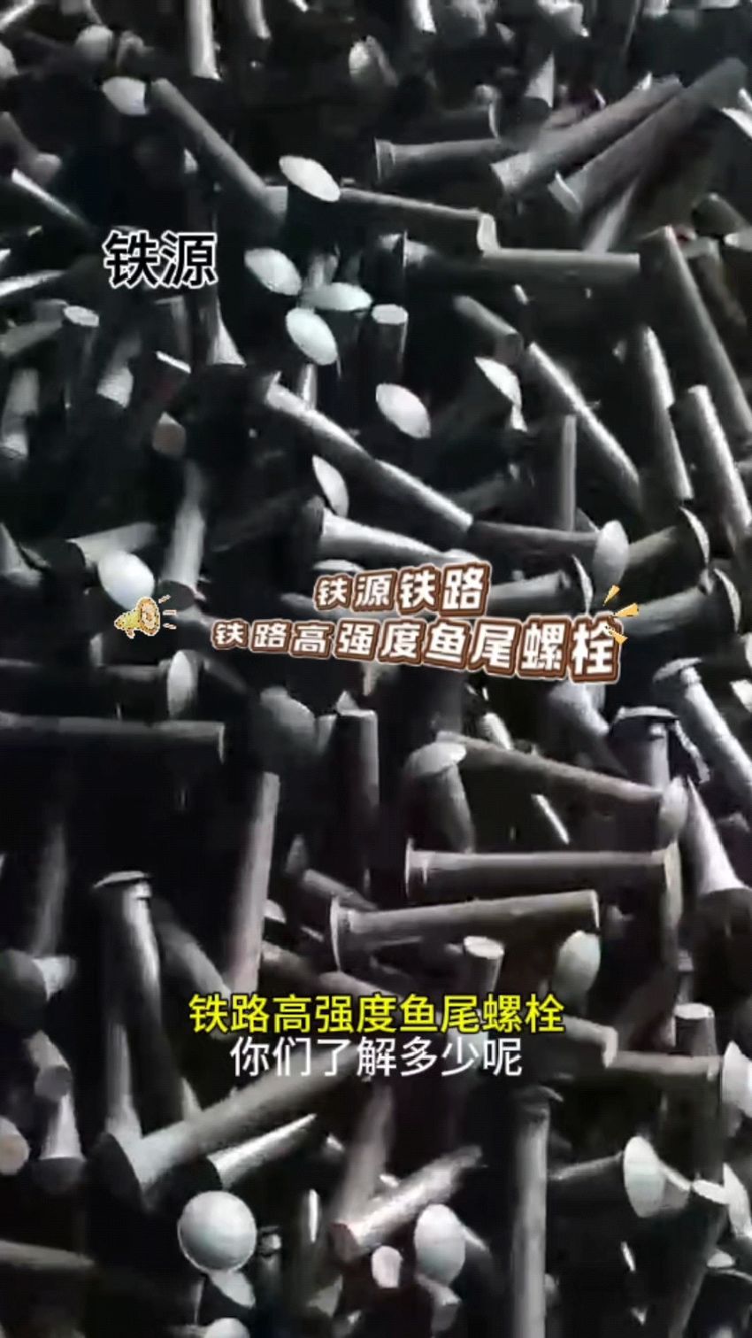 铁源铁路 铁路高强度鱼尾螺栓