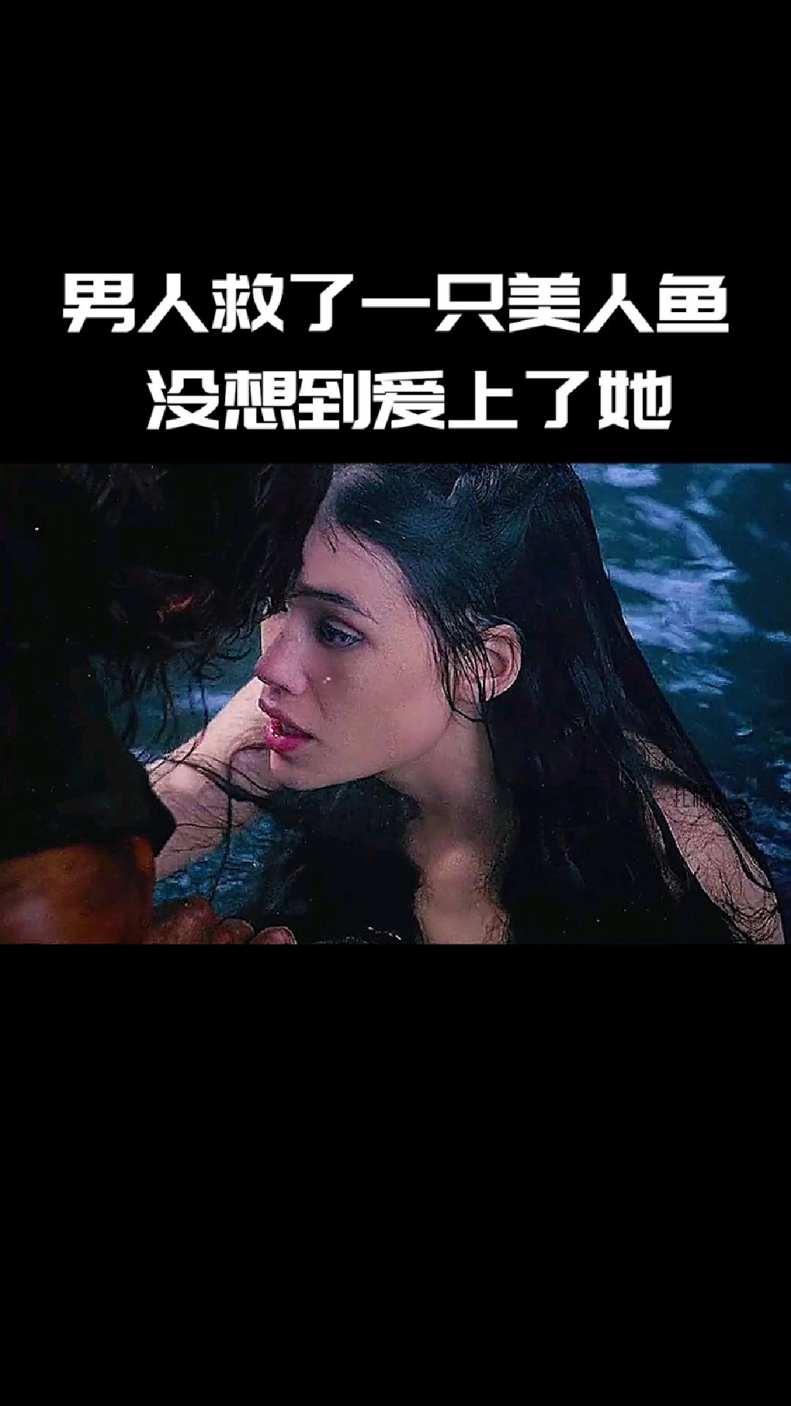 男人救了一条美人鱼没想到爱上了他