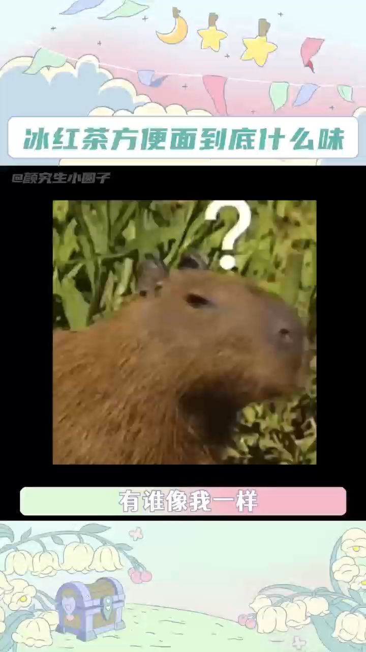 冰红茶方便面到底什么味