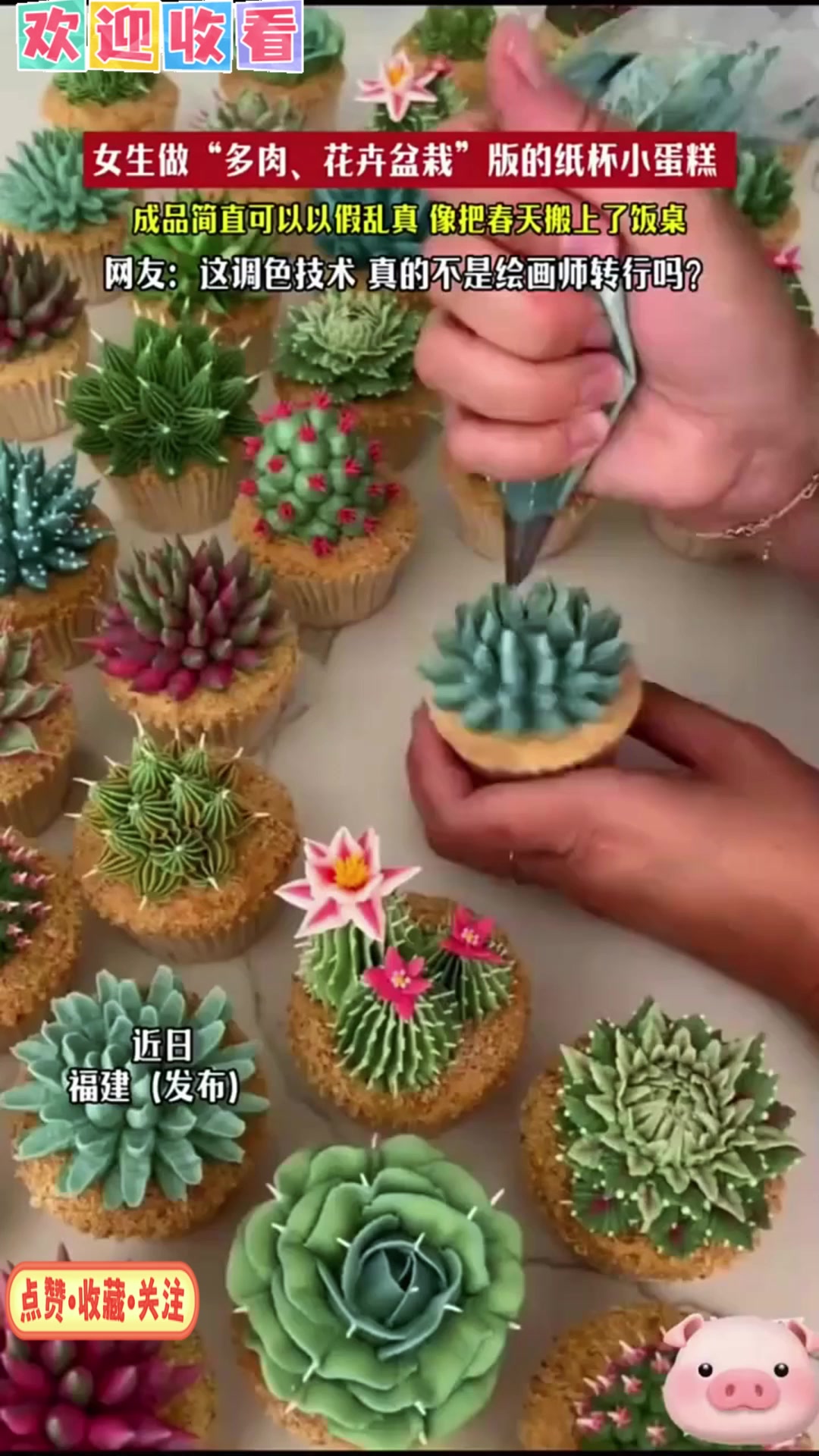 女子用奶油做成多肉的样子,成品和真的简直一模一样