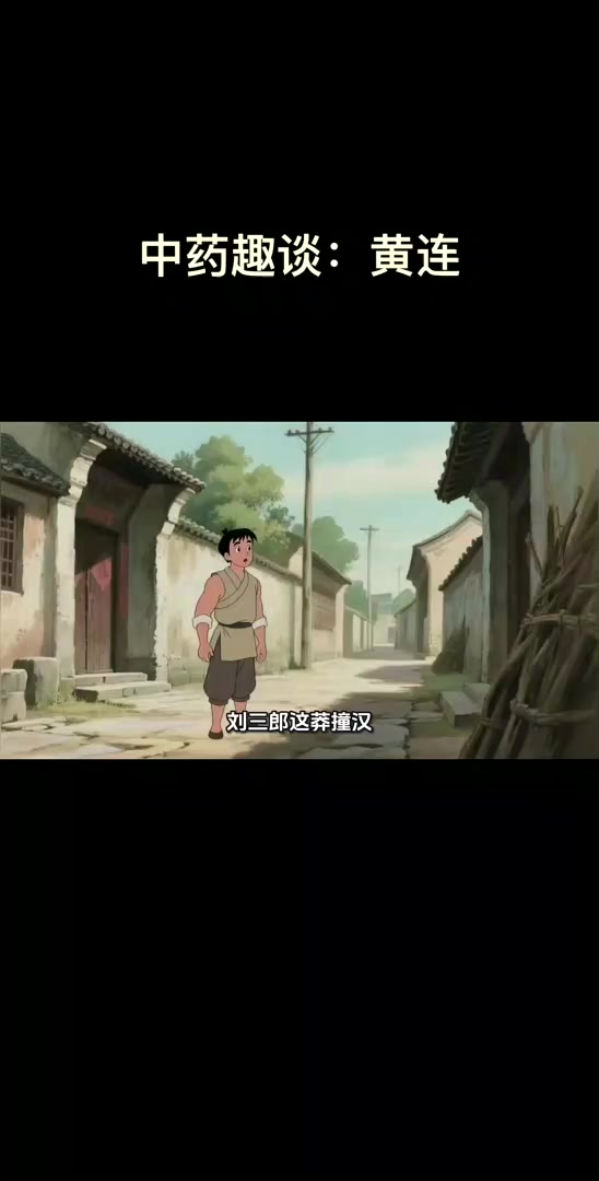 黄连形似鸡爪味极苦,用者慎之性较寒!生活似黄连,苦过方知甜。