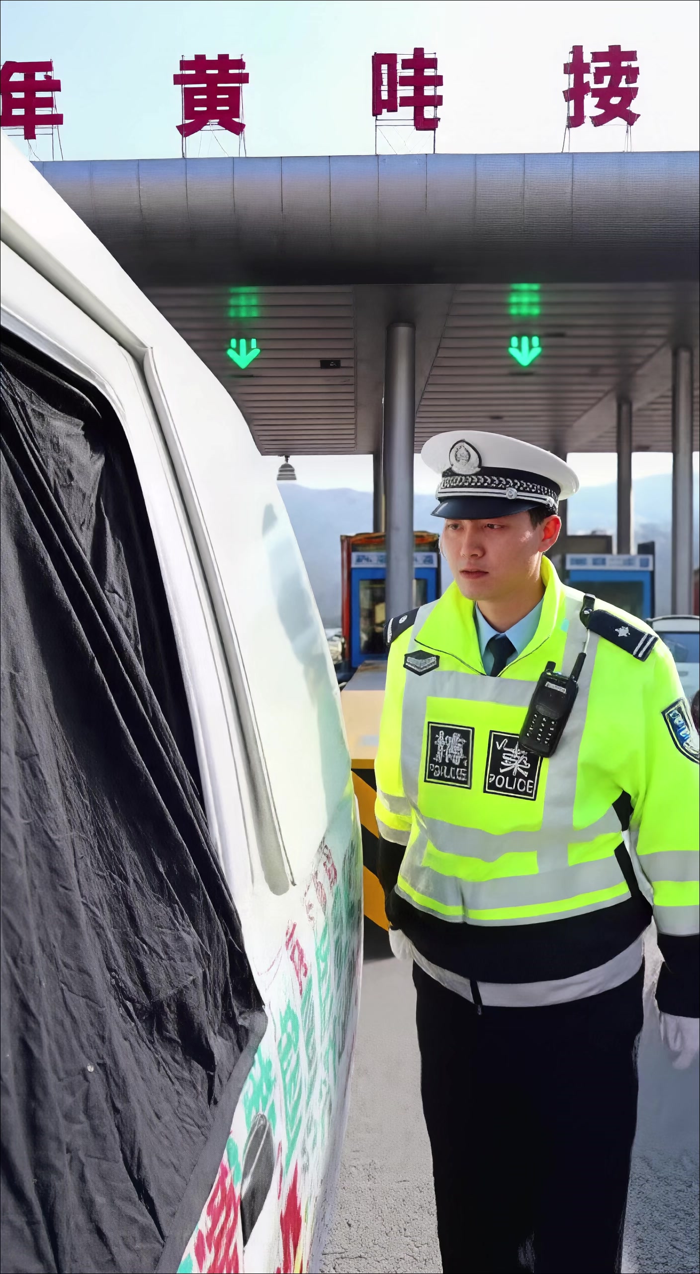面包车后窗黑布遮挡,掀开竟是一车“国宝”红腹锦鸡!