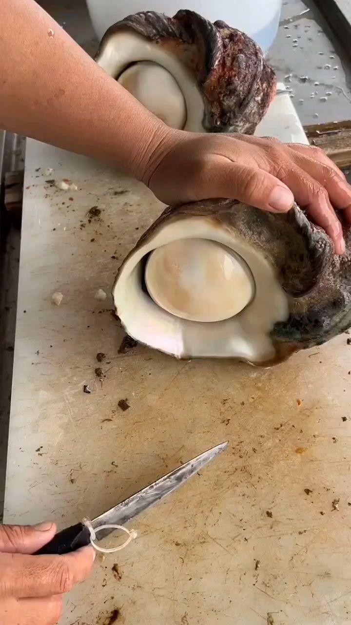 超大的海螺肉肉 太美味了