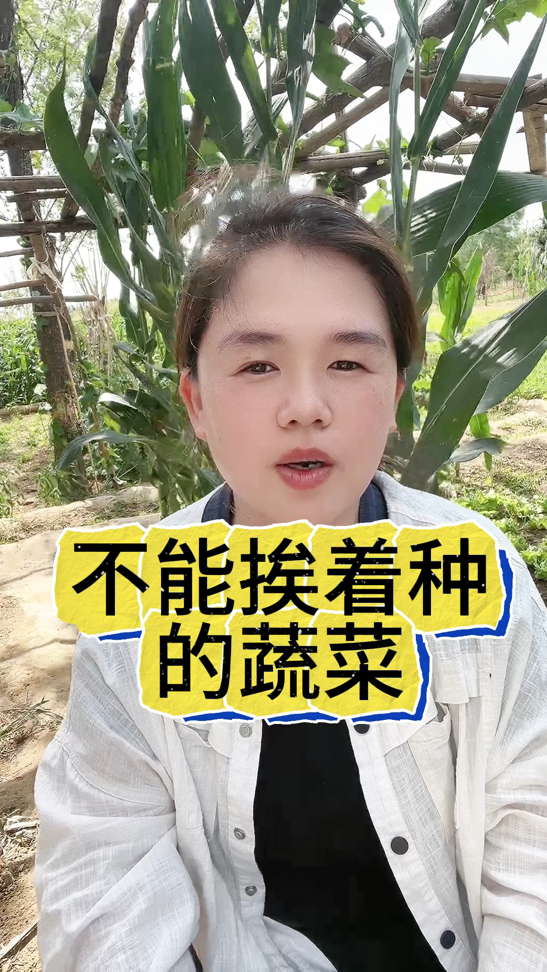 不能挨着种的蔬菜
