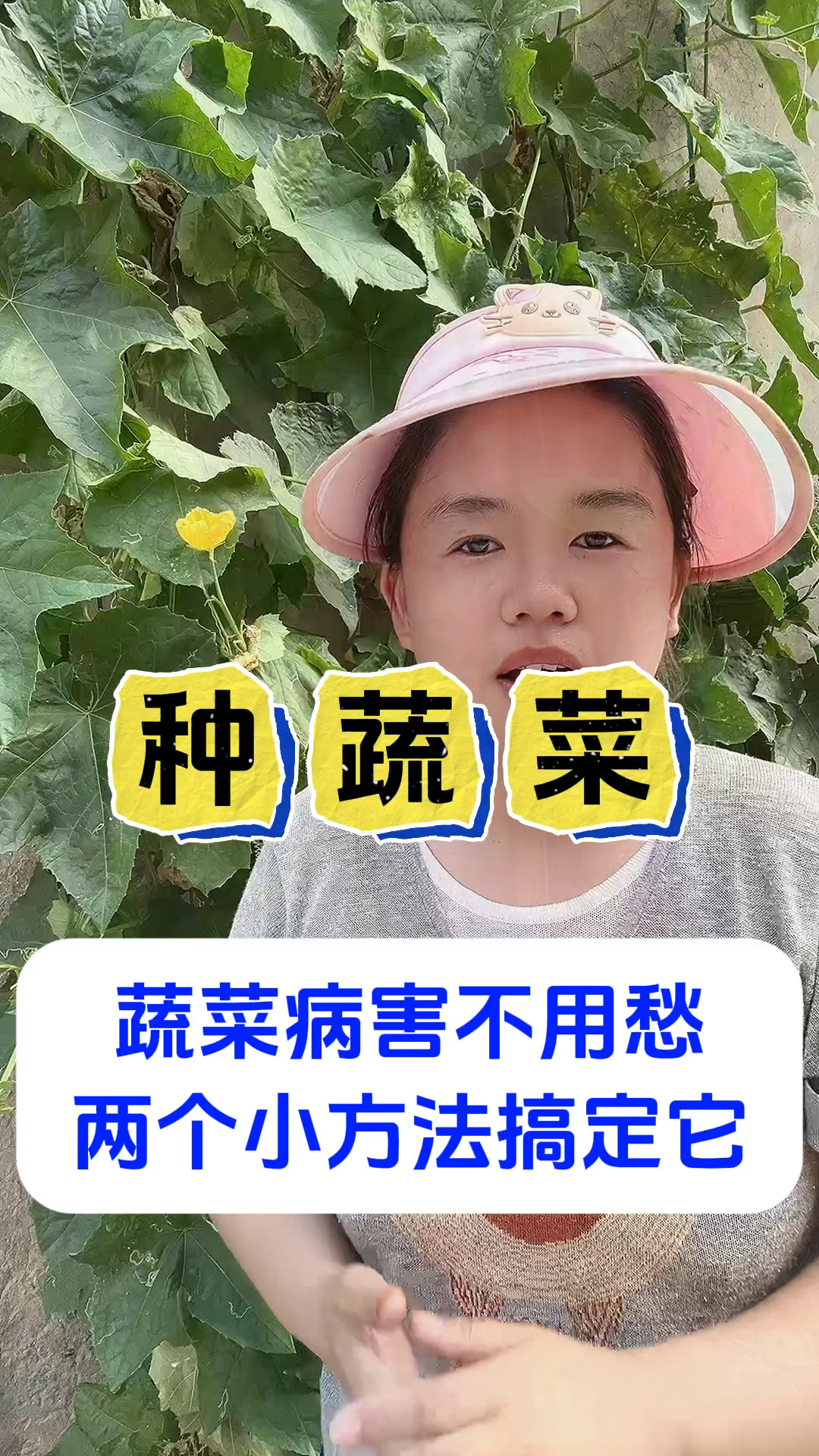 蔬菜病害不用愁。