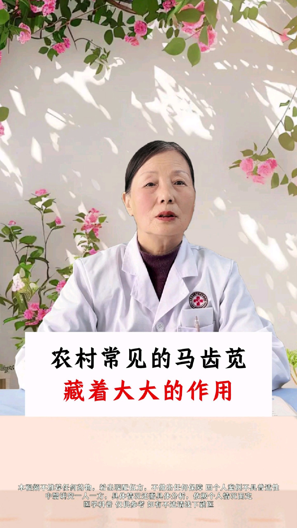 农村常见的马齿苋，也藏着大大的作用