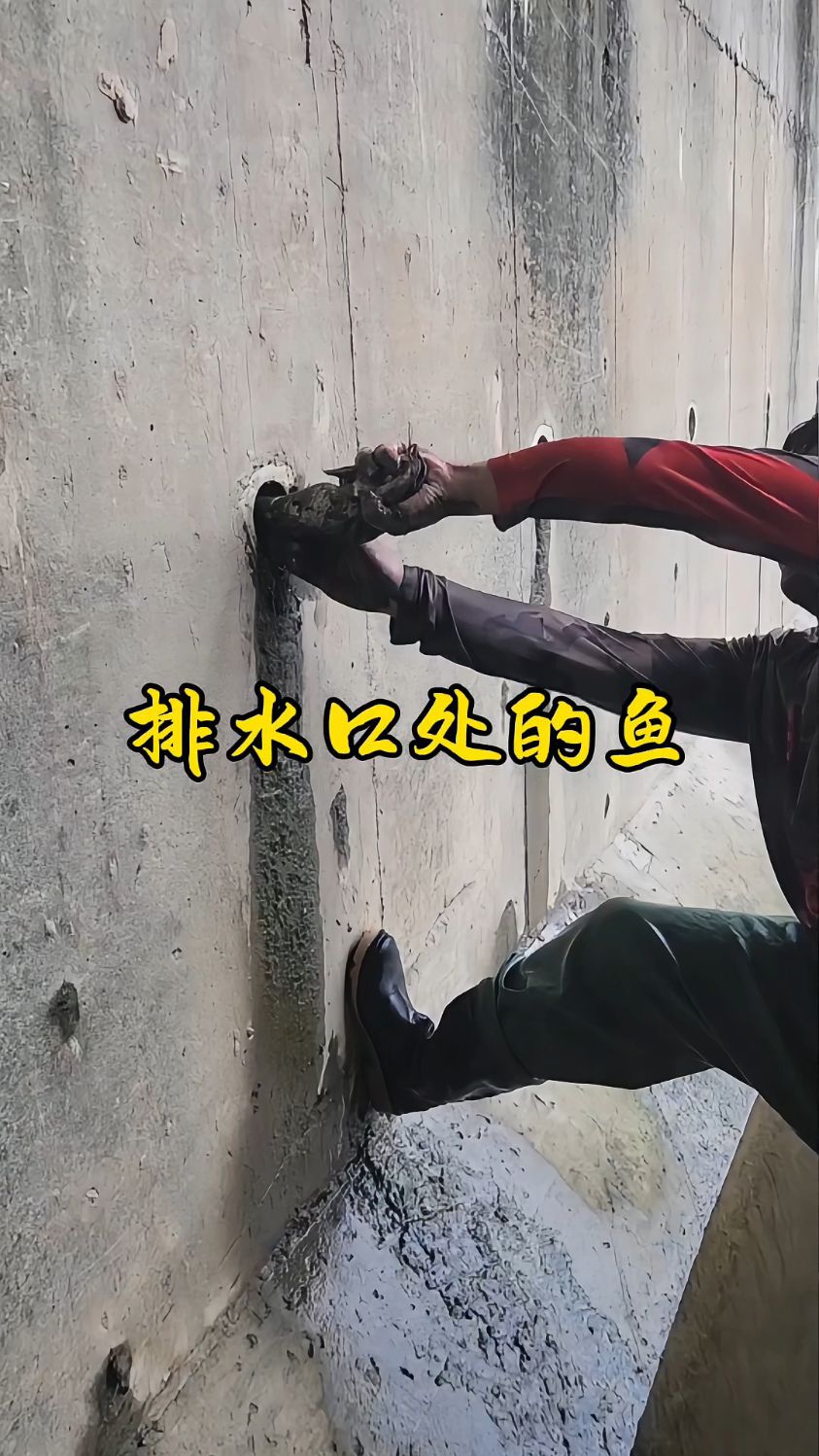 渔民在排水口捕鱼!