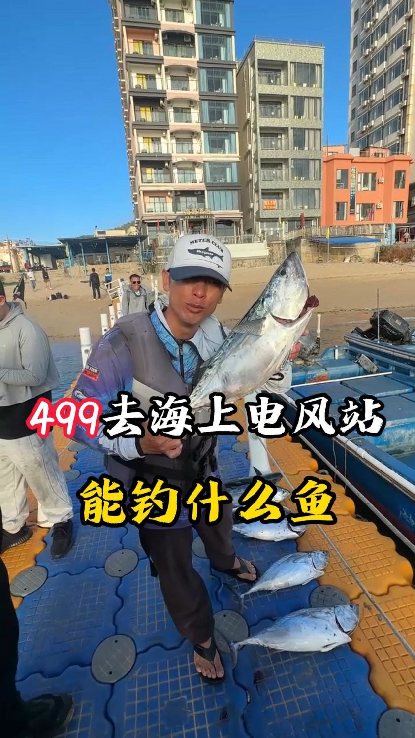 花499去风车塔能钓什么鱼?