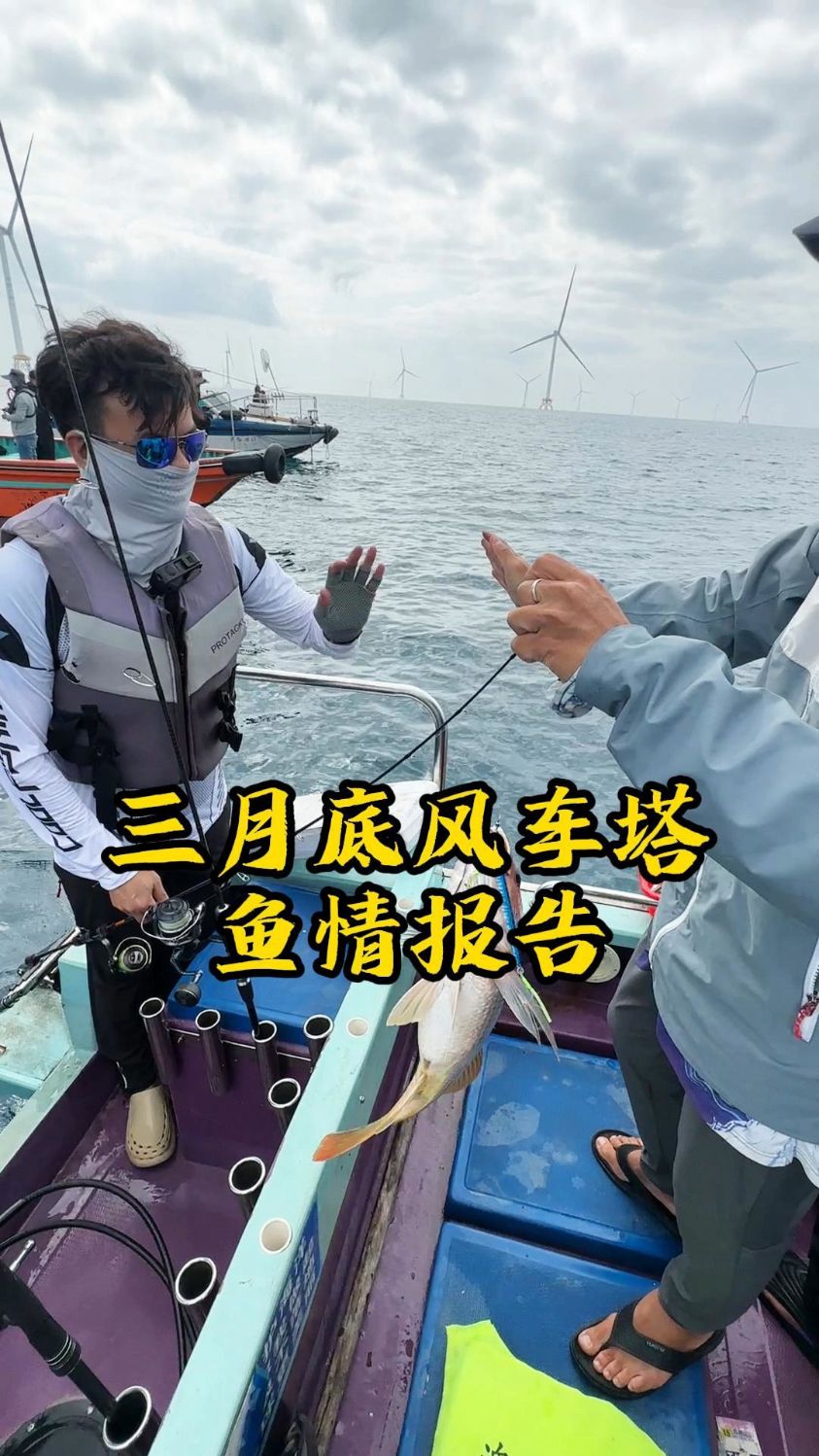 三月底风车塔鱼情报告