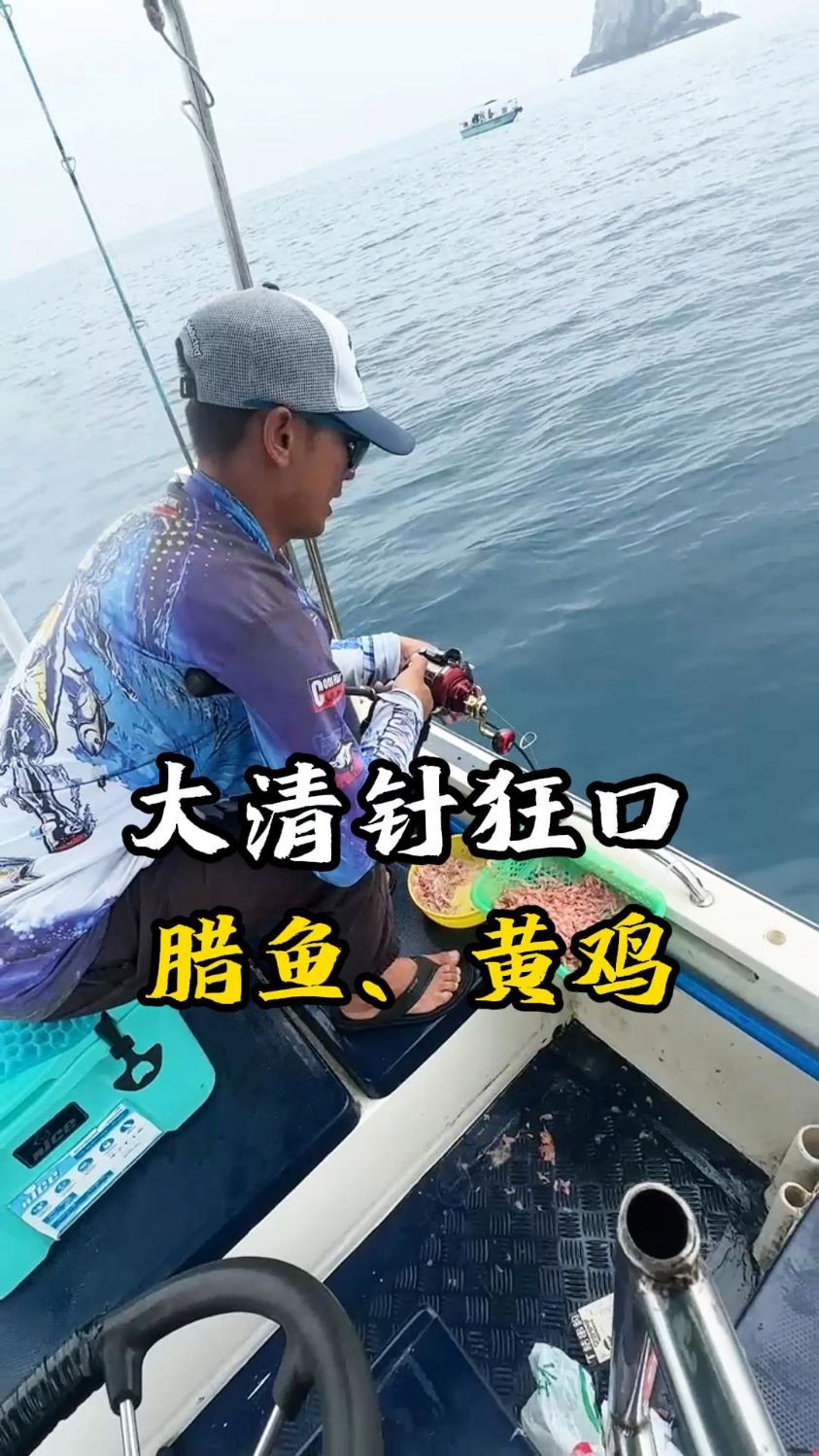 大清针狂口黄鸡,腊鱼