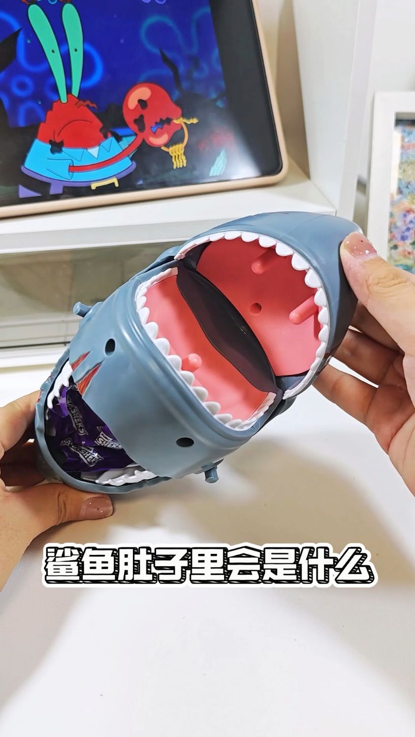 鲨鱼肚子里会有什么呢