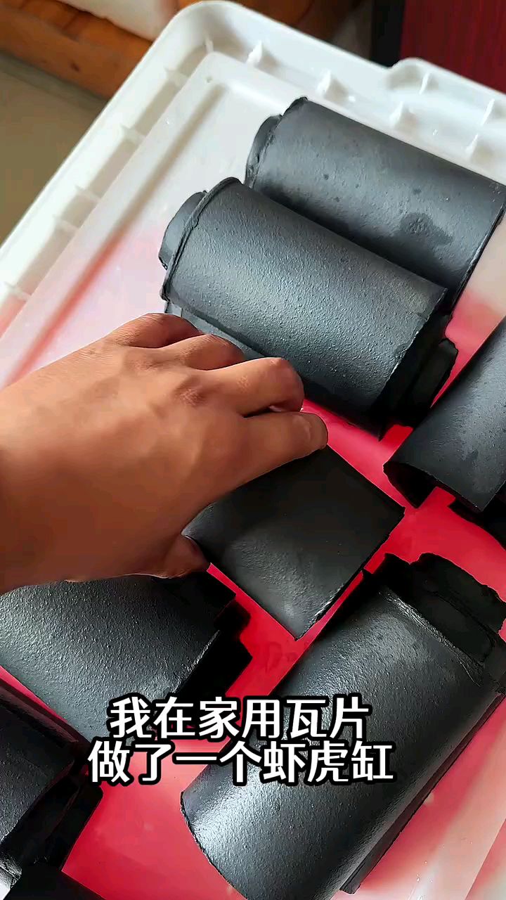 这个造景真不错! 