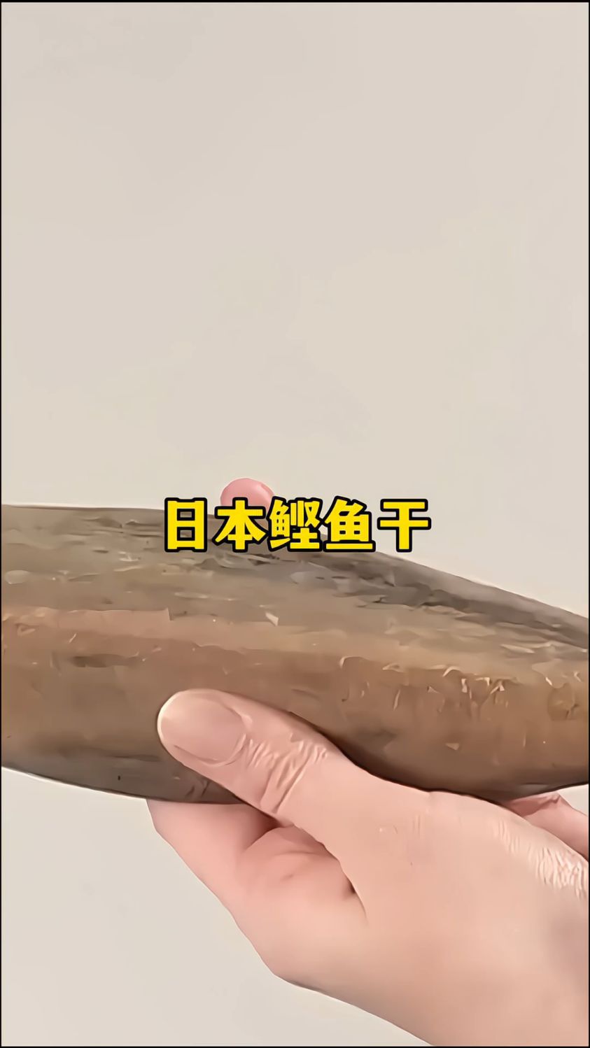 这是世界上最硬的食物之一“日本鲣鱼干”