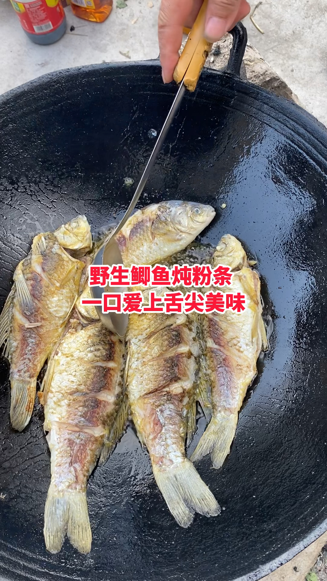 野生鲫鱼炖粉条一口爱上舌尖美味