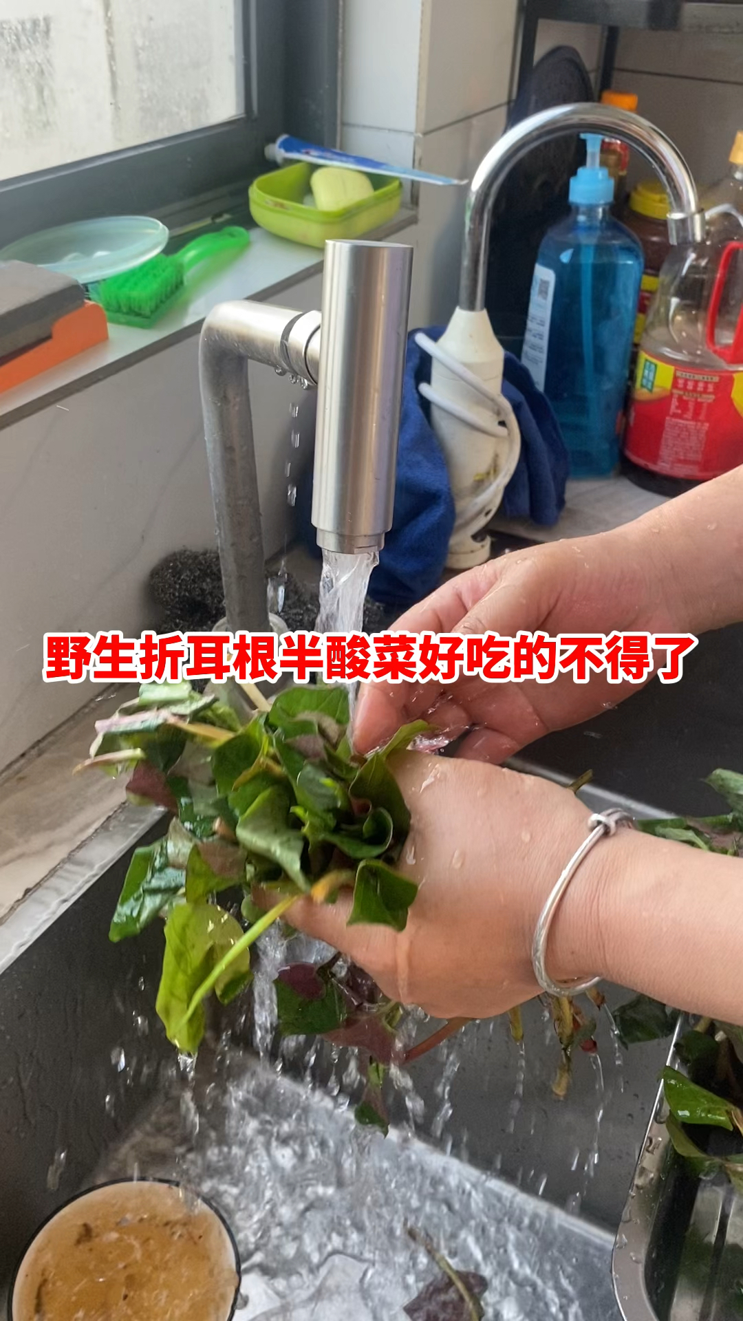野生折耳根拌酸菜好吃的不得了