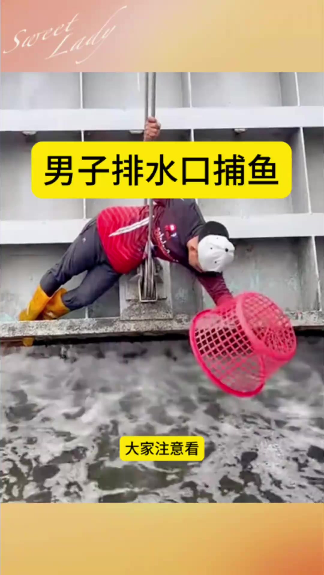 男子排水口捕鱼,成功抓上来一条鱼