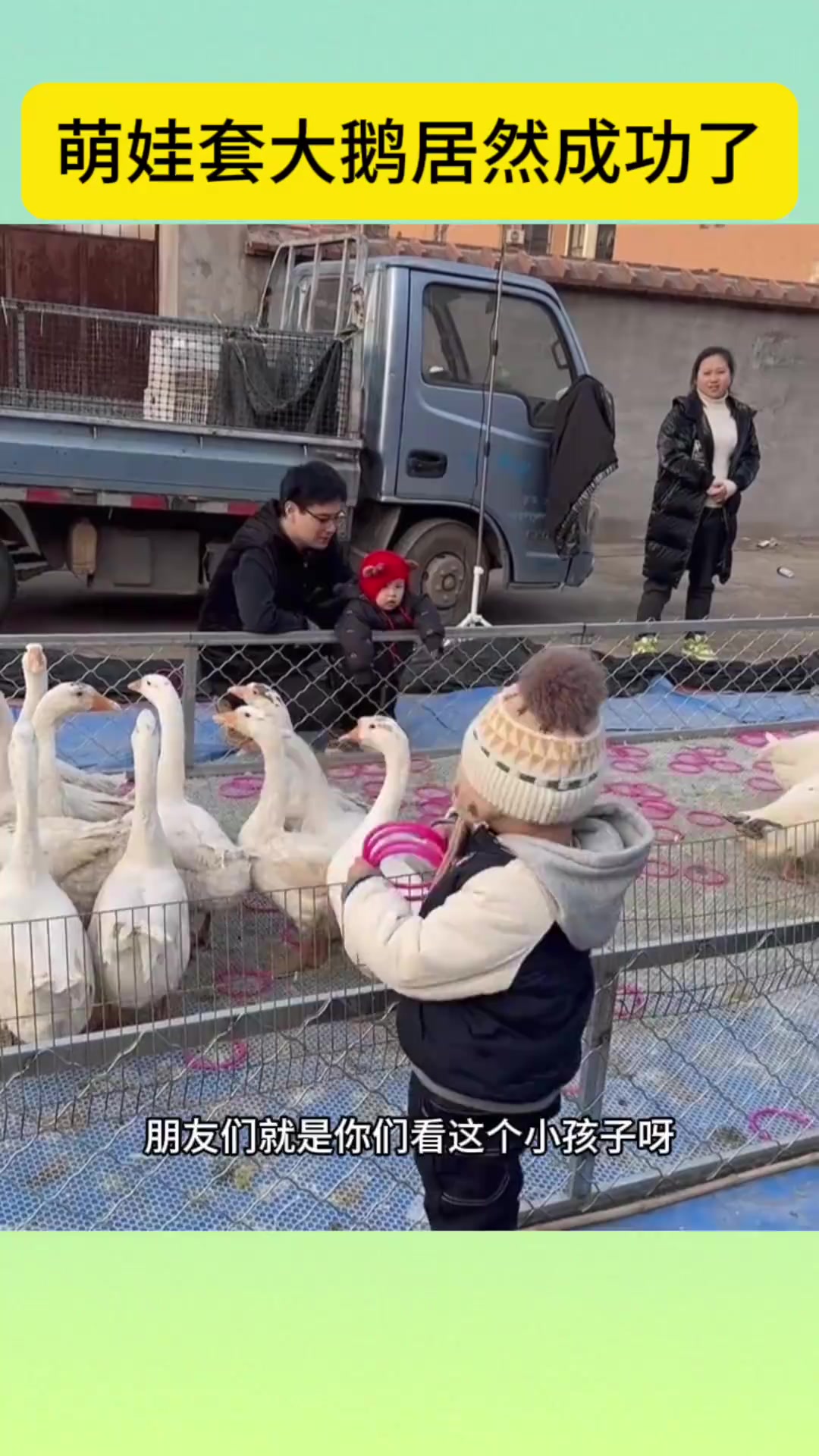 萌娃套大鹅居然成功了