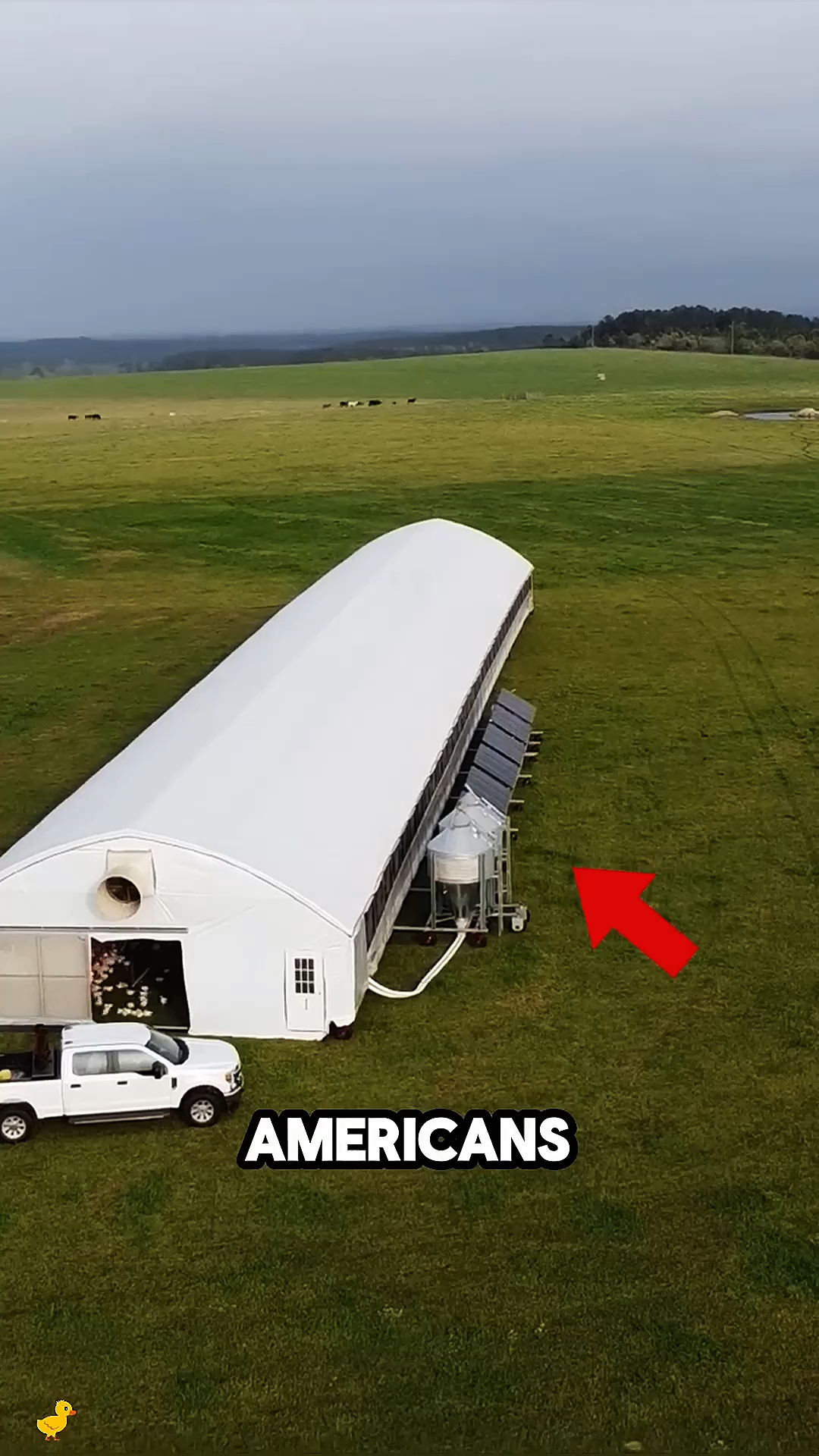 老外设计的移动养鸡场