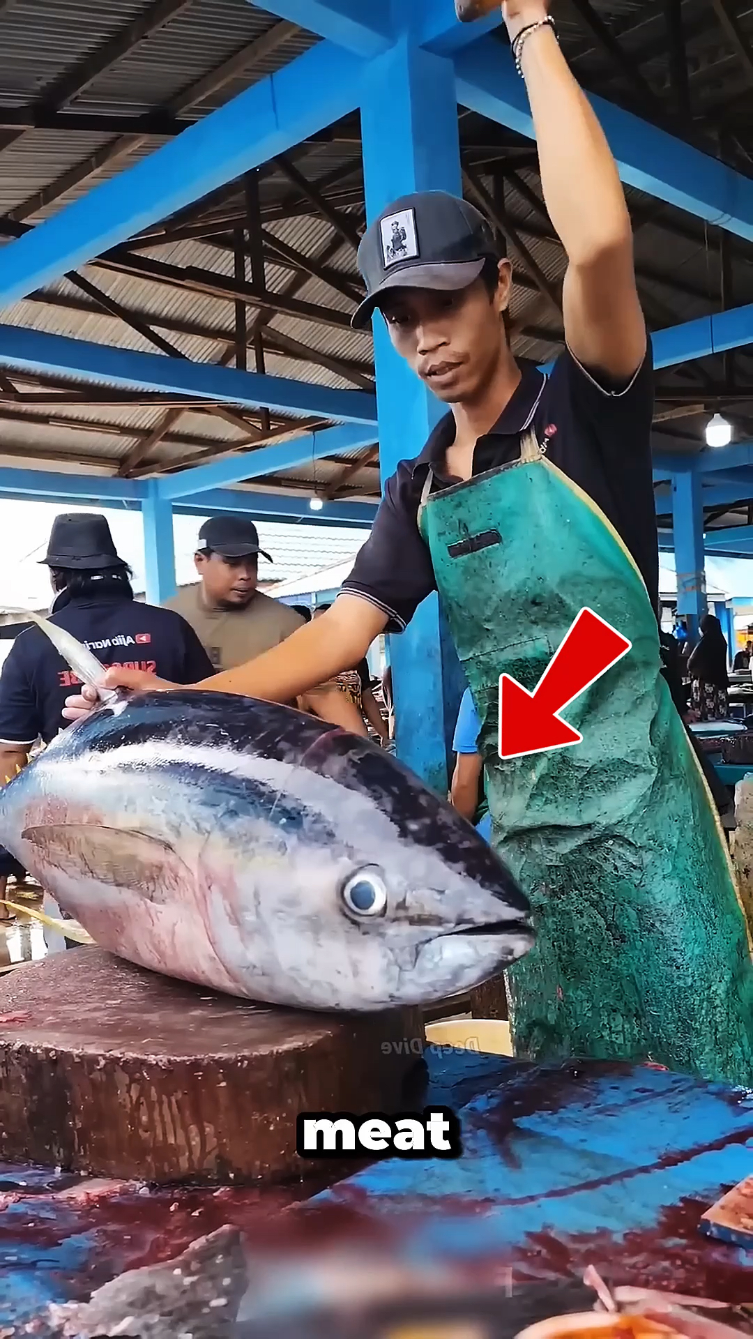 蓝鳍金枪鱼为何比黄鳍金枪鱼贵