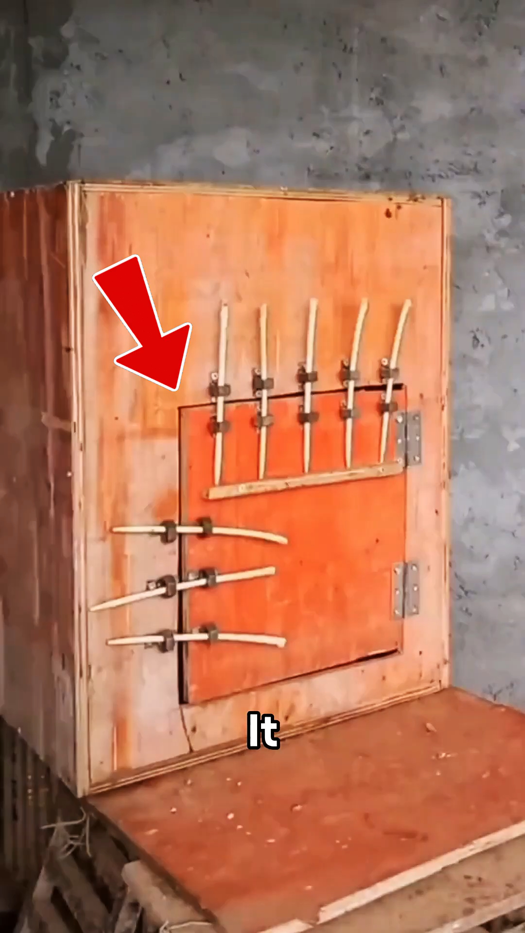 这只大公鸡也太聪明了吧