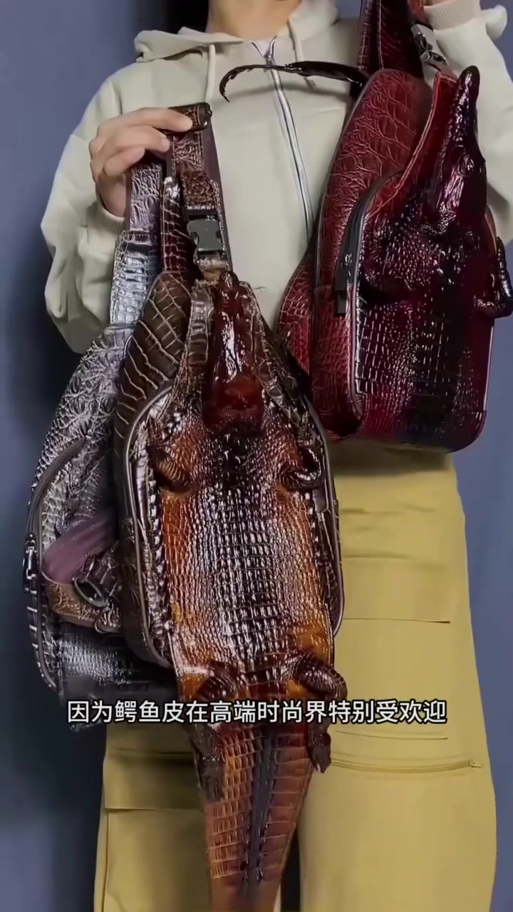 东南亚的鳄鱼养殖场