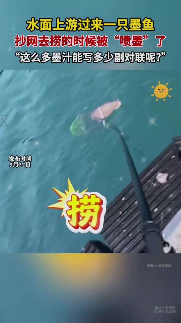 第一次这么直观的看到墨鱼“喷墨”!
