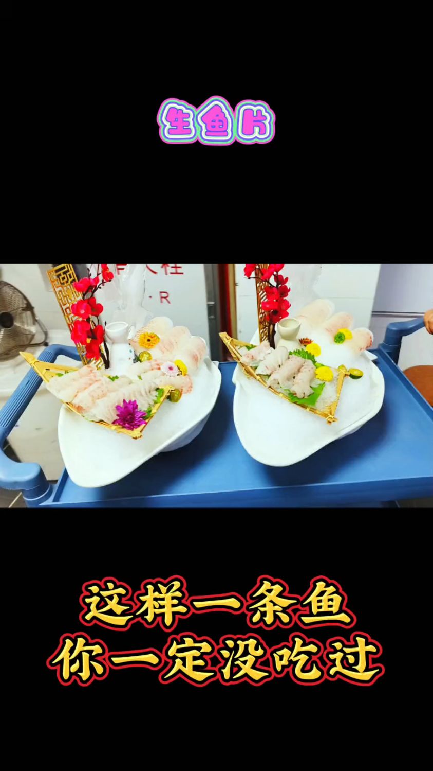 2025网红养殖澳洲银鲈