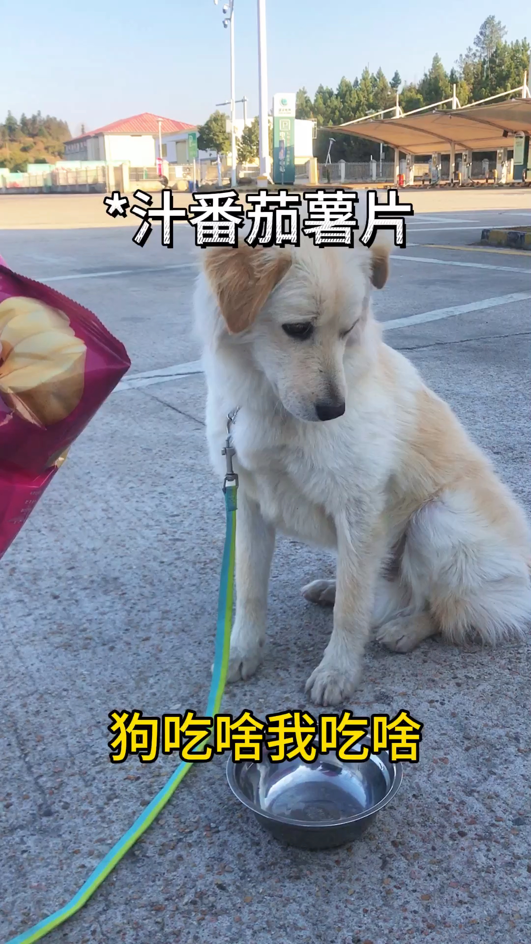 狗吃啥我吃啥 今天尝尝*汁番茄味薯片能不能吃