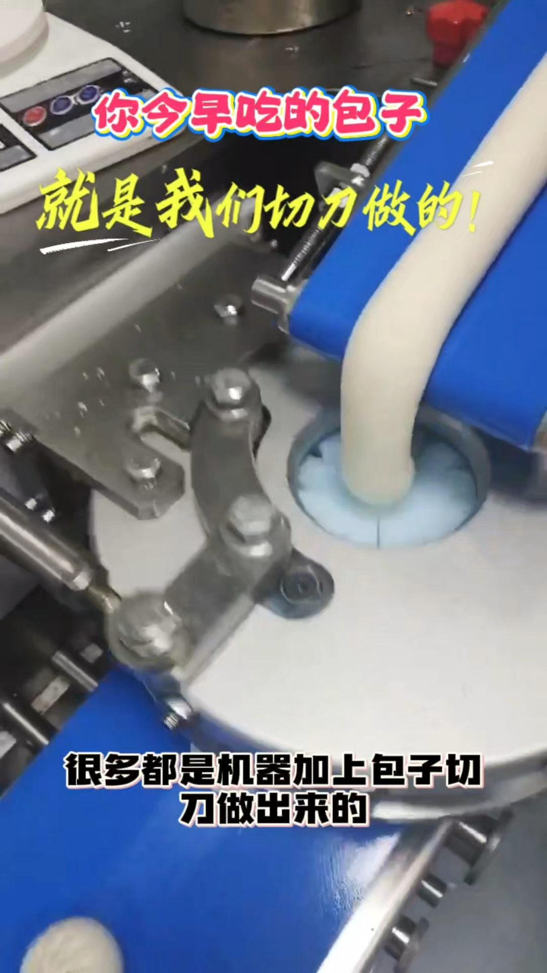 包馅机捏花刀,食品机械配件料斗绞龙密封圈,食品刀具刀盘,