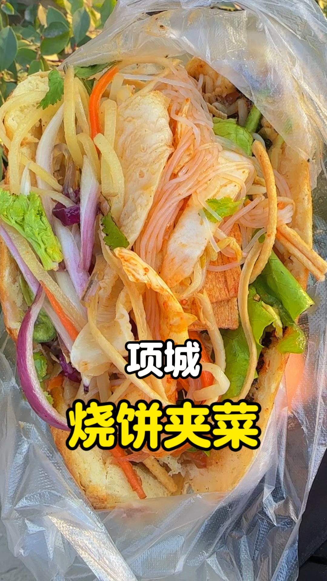 河南项城街头2块烧饼夹菜,这是什么神仙物价!#路边摊美味