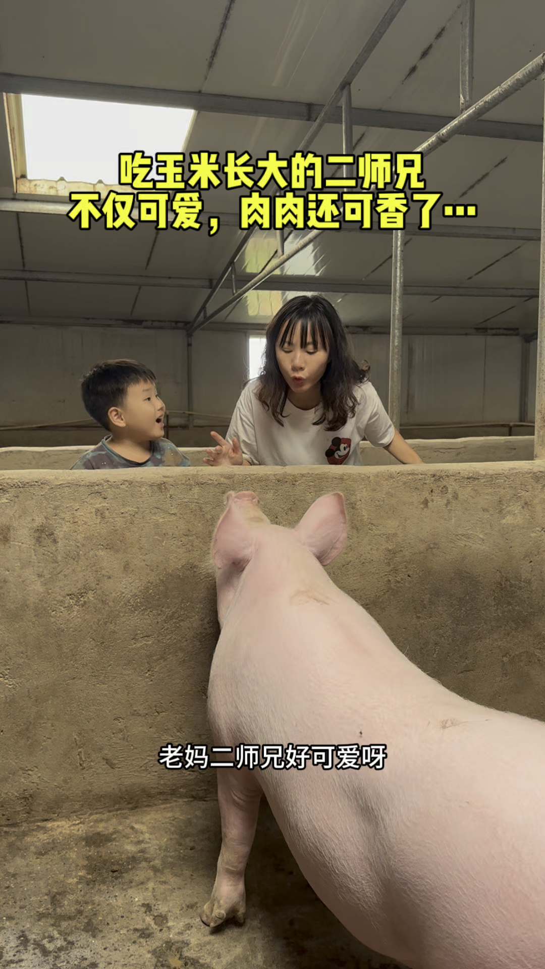 吃玉米长大的二师兄不仅可爱,肉肉还可香了#亲子搞笑#萌娃