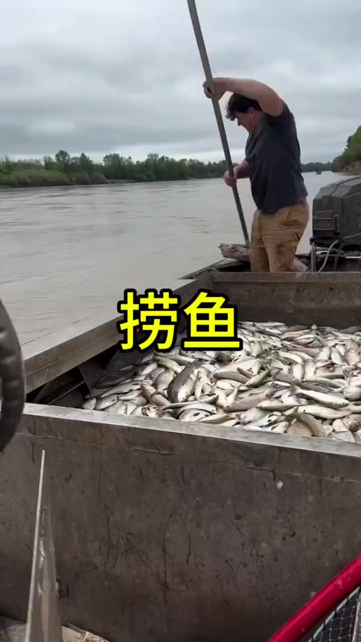 第一次见，还能这样捞鱼的