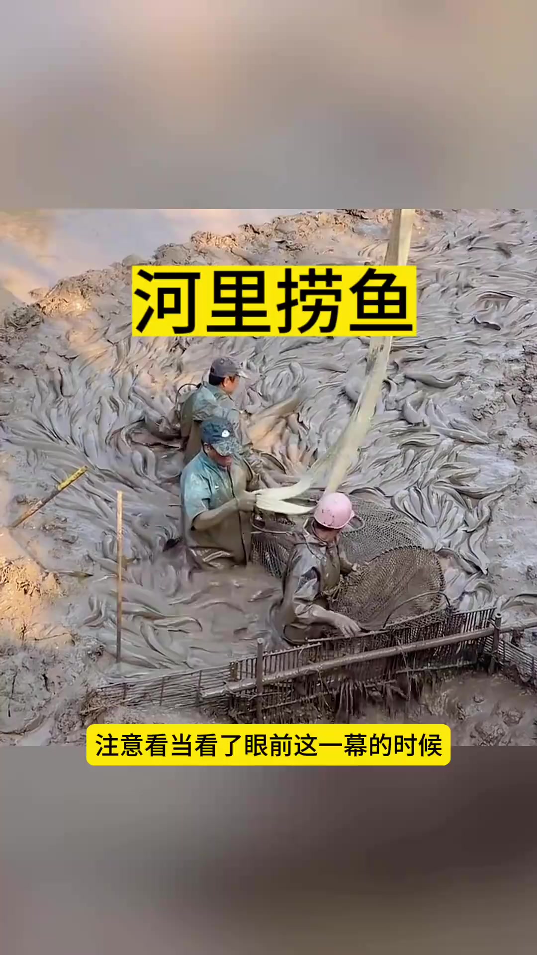 河里捞鱼，随手可得