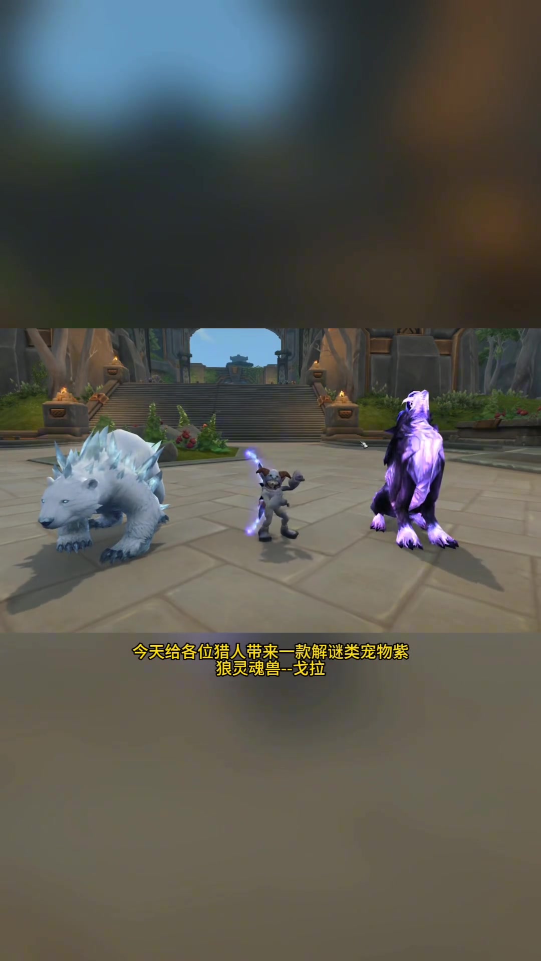 魔兽世界正式服帅气灵魂兽紫狼戈拉获取攻略