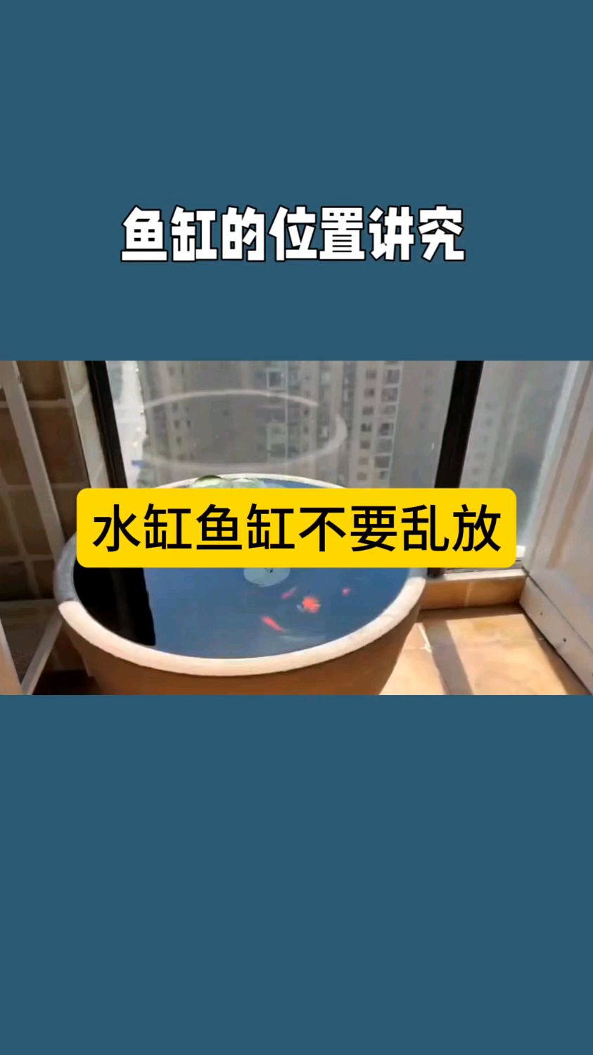 水缸鱼缸不要乱放