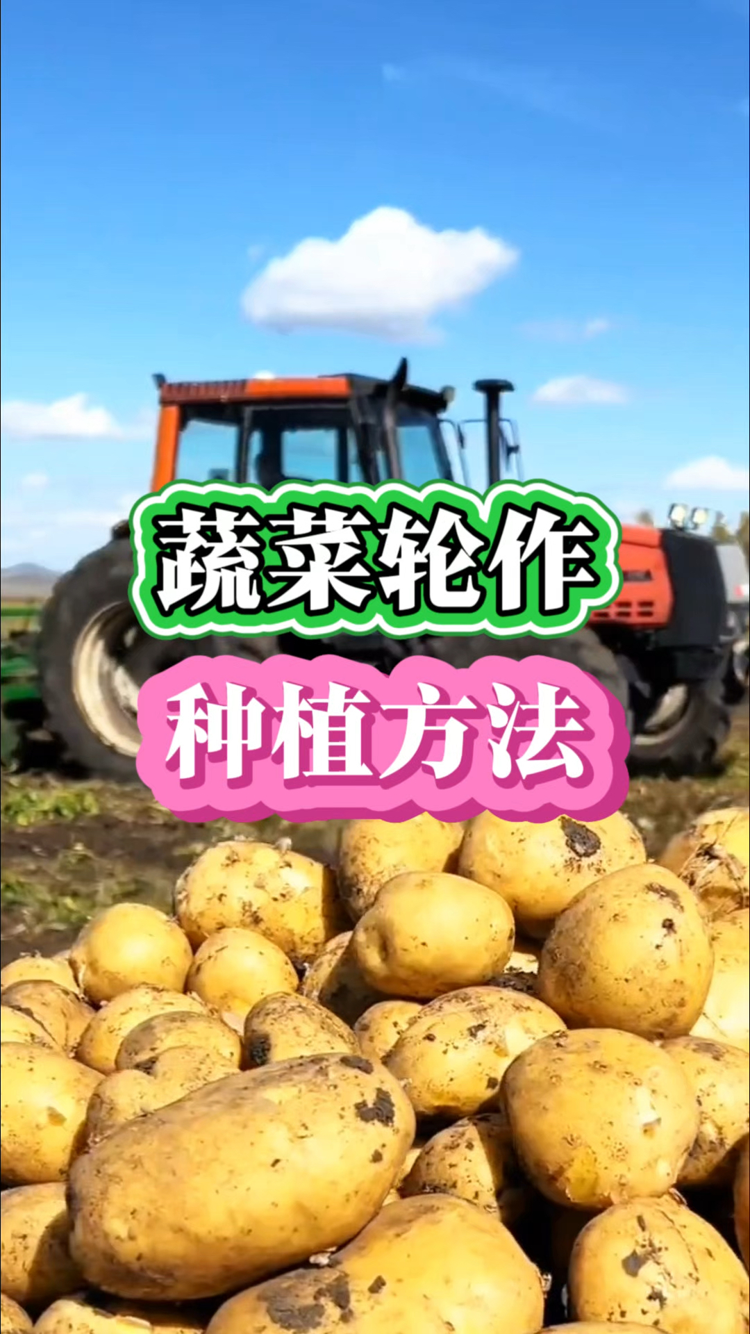 蔬菜轮作种植方法