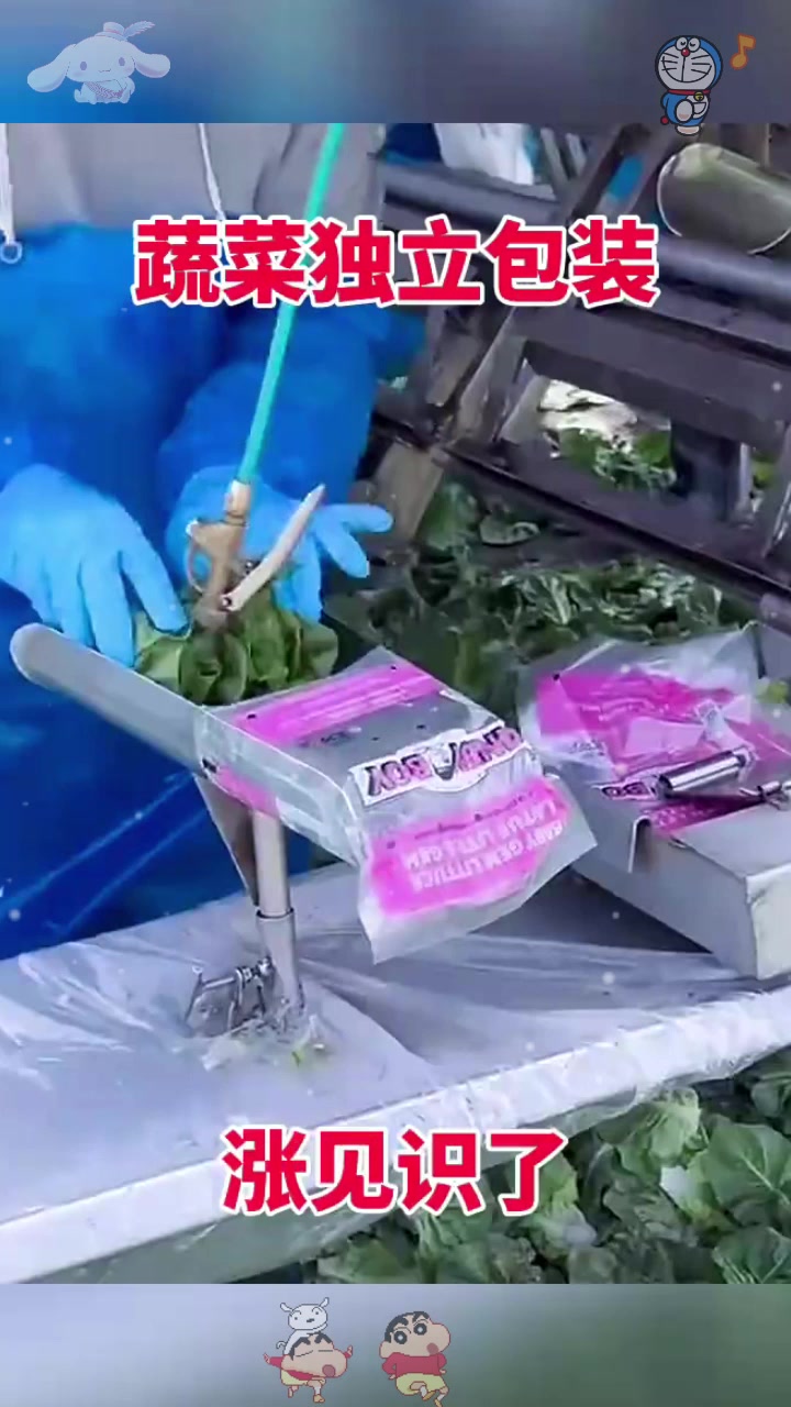  蔬菜独立包装，涨见识了！