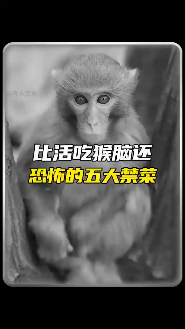 揭秘中国最残忍的五大菜肴,你敢挑战吗?!