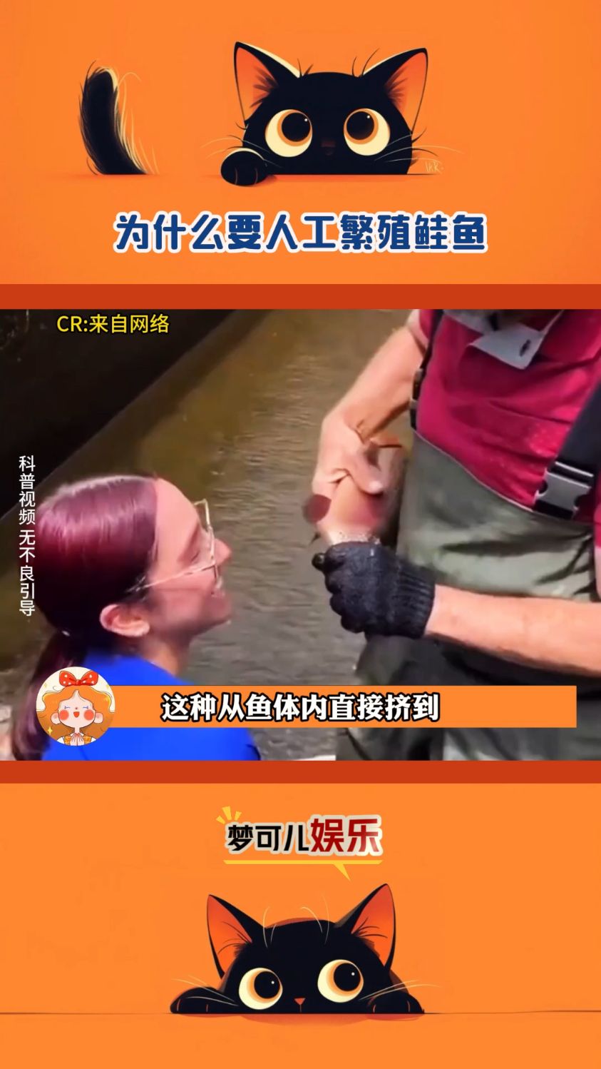 为什么要人工繁殖鲑鱼?