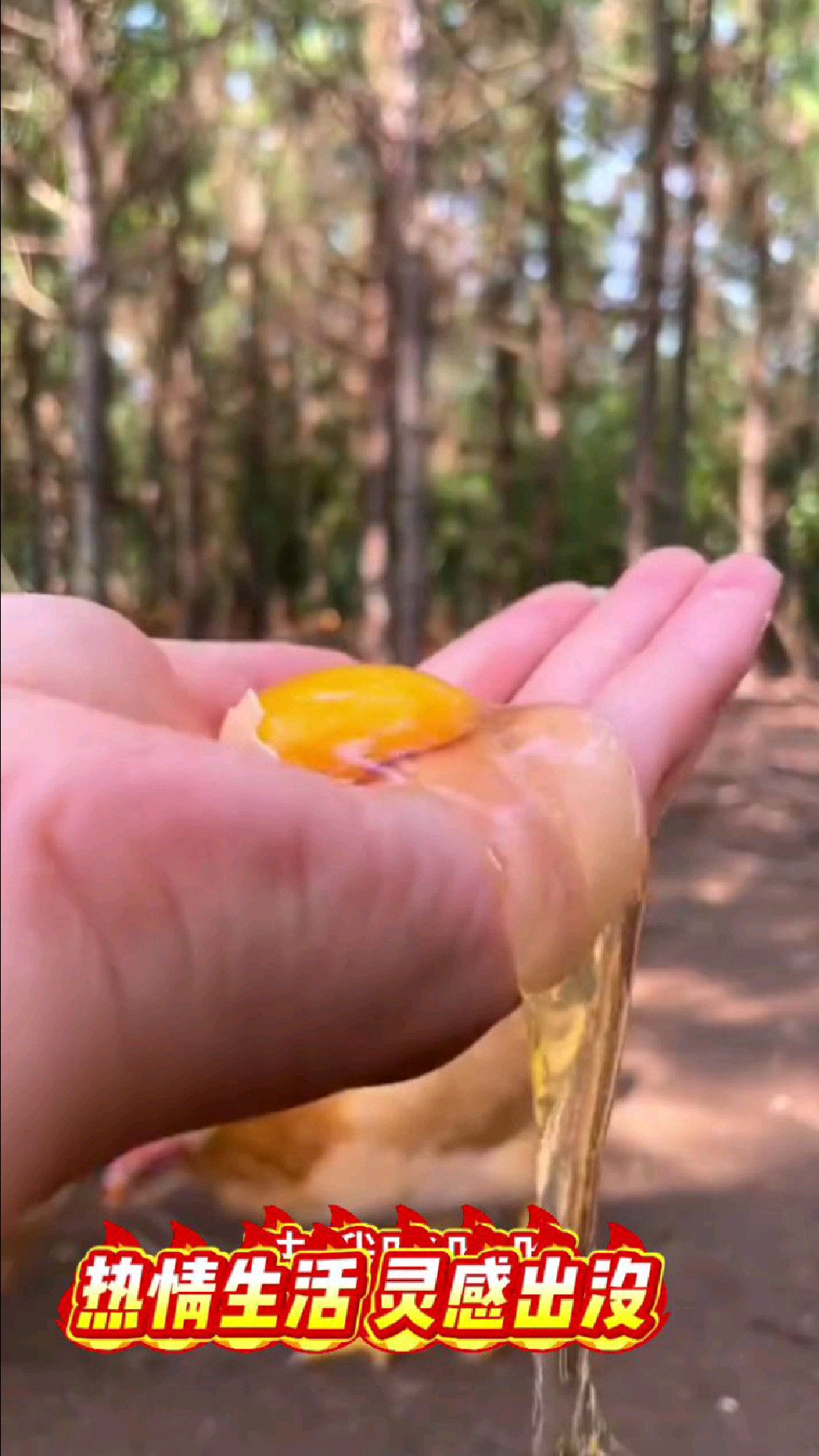 农家散养土鸡蛋,嘎嘎香