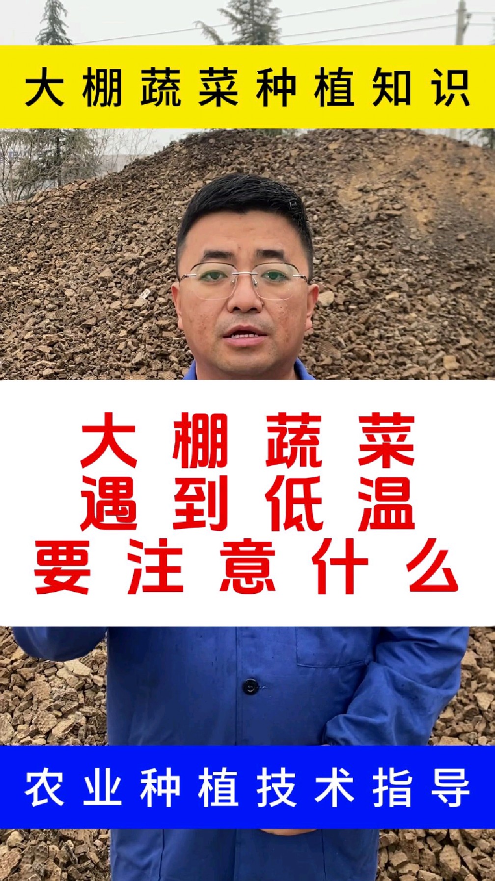 大棚种蔬菜遇到低温要注意什么?