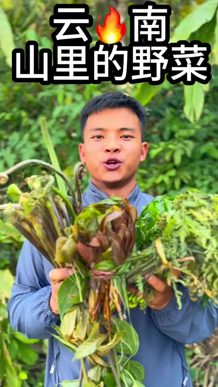 在我们云南根本就不用买菜,进山就有吃不完的野菜