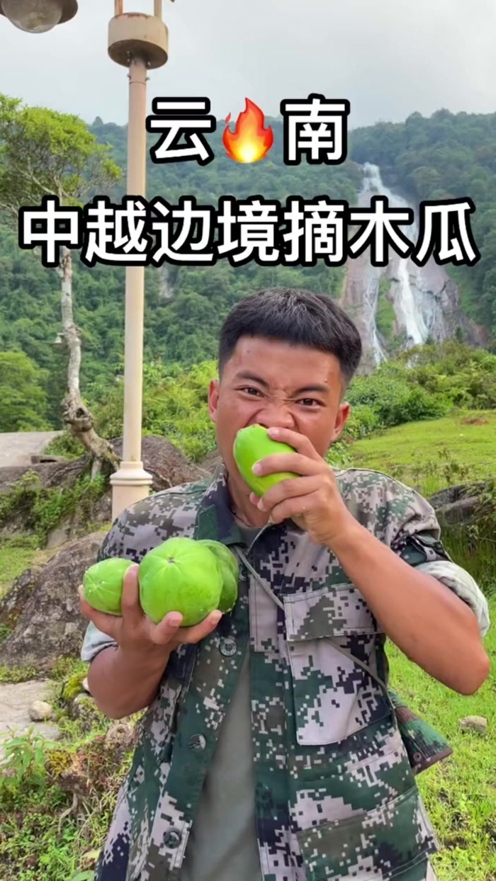 青木瓜炒肉还有凉拌青木瓜!味道挺不错的有一一股清香味