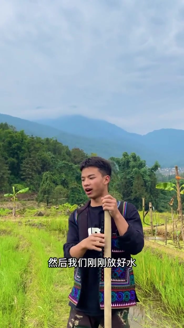 今天到田里面抓稻田鱼，真的超级开心