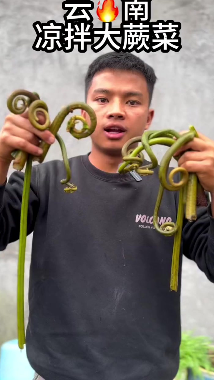 最近我们这里的野菜特别多，其中就包括我比较喜欢吃的野生大蕨菜