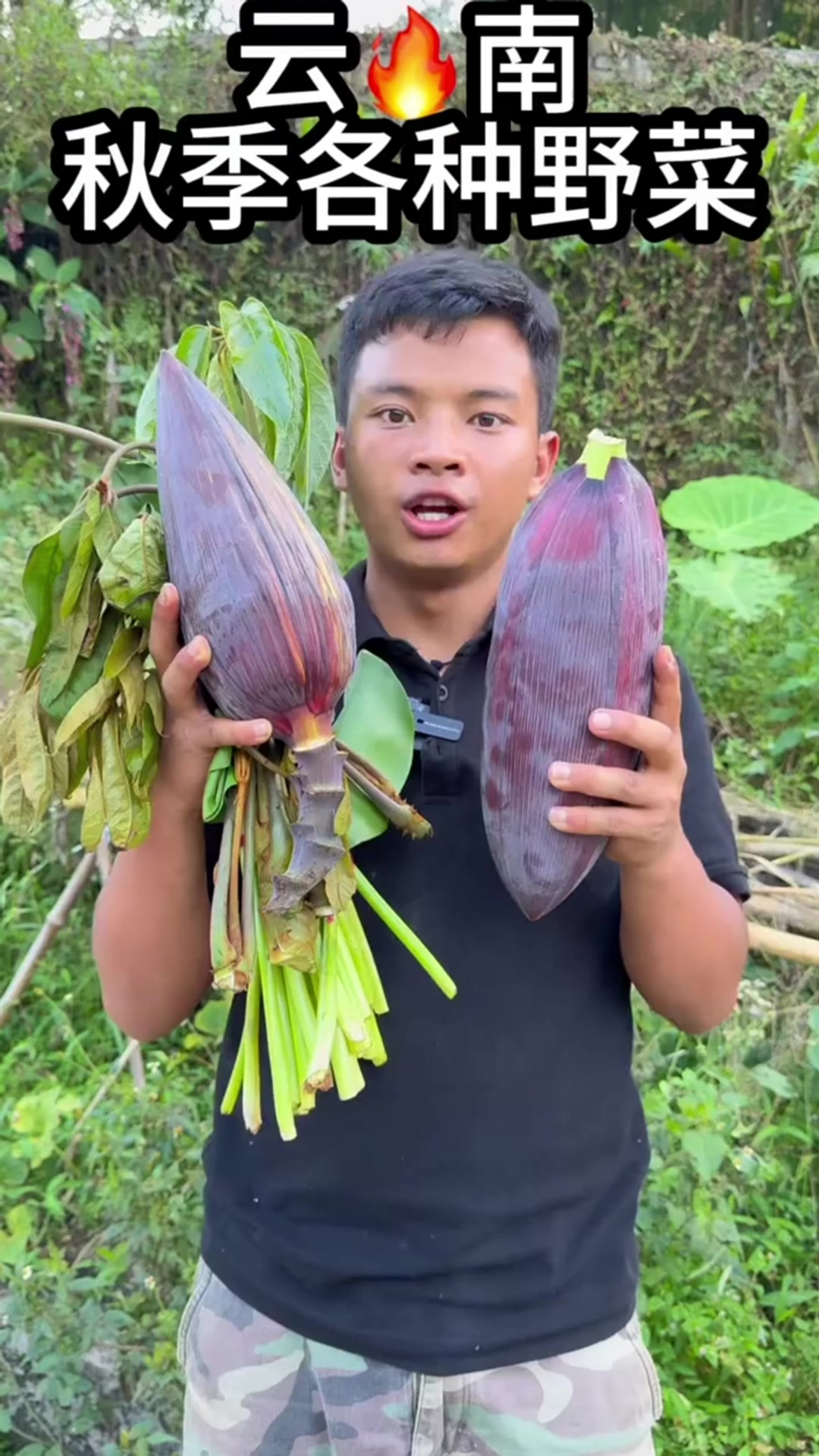 云南秋季各种野菜,我先替你们尝尝