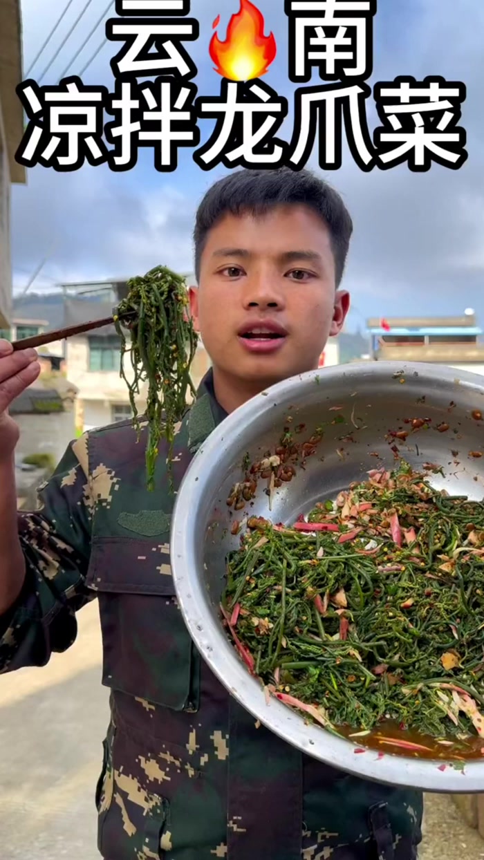 你们吃过凉拌龙爪菜吗?