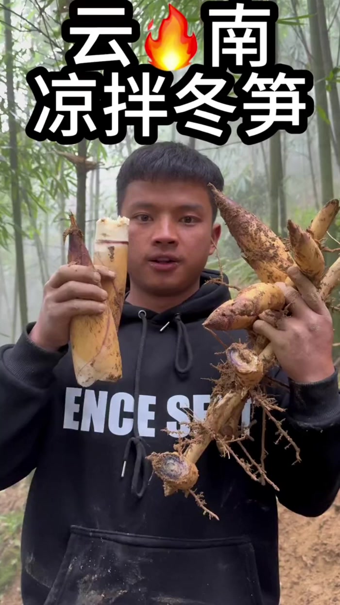挖冬笋马上过年了,当然这个时候的冬笋也是最好吃最嫩的时候